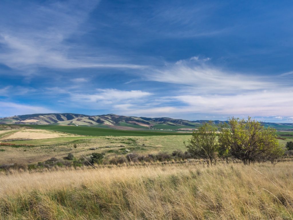 Walla Walla Real Estate Update - August 2017 » Windermere Walla Walla